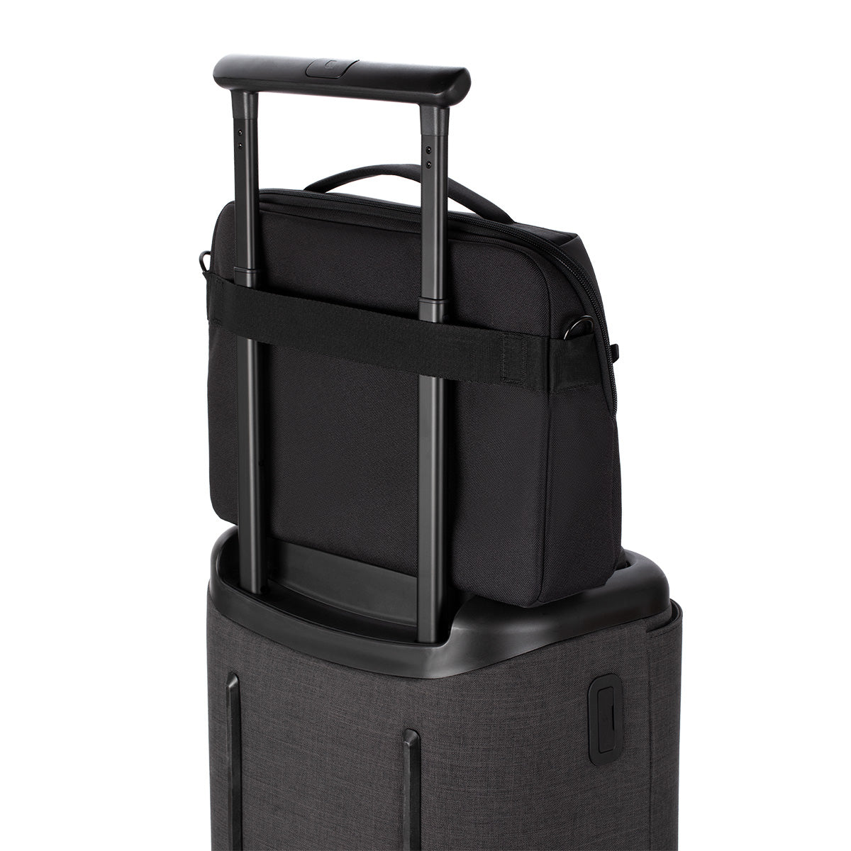 Black | A.R.C. Brief - Black